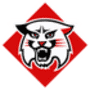 Escudo Davidson Wildcats