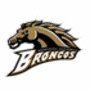 Escudo Western Michigan Broncos Wmu