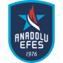 Escudo Anadolu Efes Istanbul