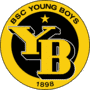 Escudo Bsc Young Boys