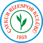 Escudo Caykur Rizespor
