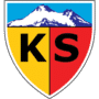 Escudo Kayserispor Sk