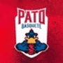 Escudo Pato Basquete