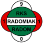Escudo Radomiak Radom