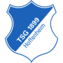 Escudo Tsg 1899 Hoffenheim