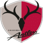 Escudo Kashima Antlers