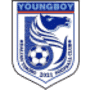 Escudo Dalian Yingbo Fc