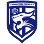 Escudo Wuhan Three Towns Fc