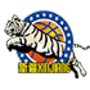 Escudo Xinjiang Flying Tigers 1