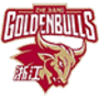 Escudo Zhejiang Golden Bulls
