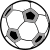 Liga International