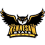 Kennesaw State Owls